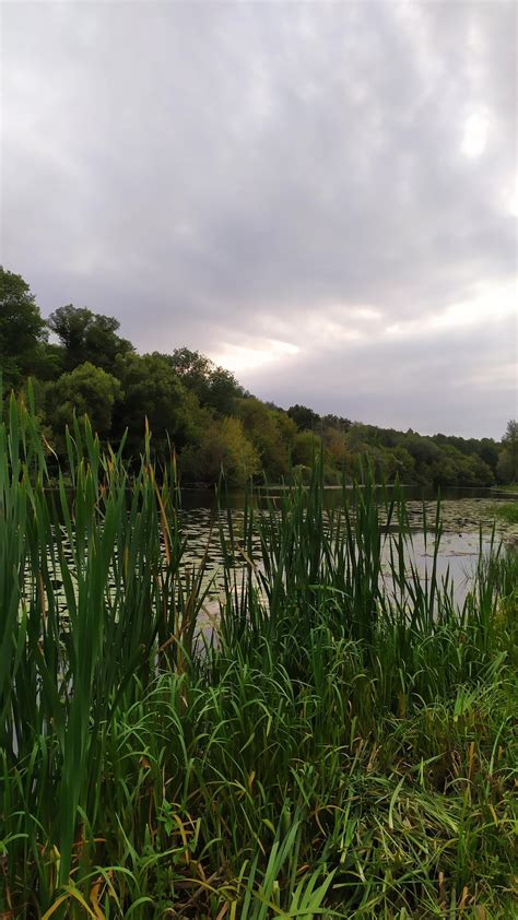 My walk along the river a year ago. Seim river, the town of Putivl, Sumy region. Ukraine : r/hiking