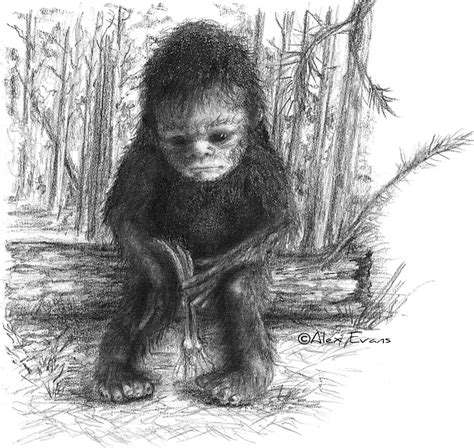 Alex Evans | Bigfoot sightings, Bigfoot pictures, Bigfoot art