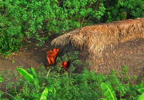 Gold miners claim they butchered uncontacted Amazon tribe members in Brazil