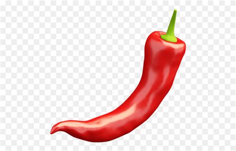 Hot Pepper Gambar Cabe Rawit, Plant, Vegetable, Food HD PNG Download – Stunning free transparent ...