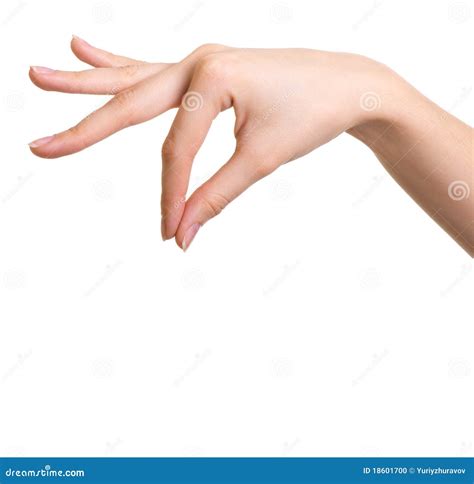 Isolated Hand Holding Object Stock Photo - Image of female, ideas: 18601700