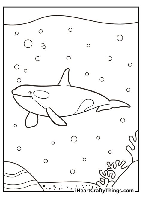 Killer Whale Coloring Pages (Updated 2021)