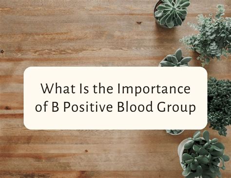 what is the importance of b positive blood group - CraftyThinking