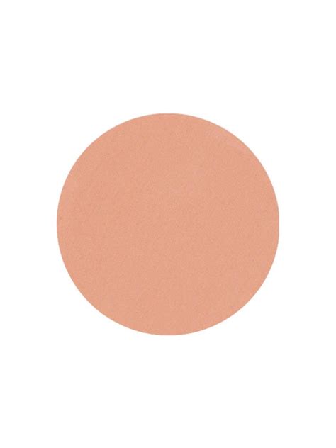 Peaches and Cream Light Peach Blush Pressed Blush Pressed