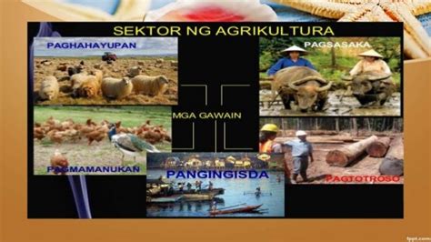 Mga Trabaho Sa Sektor Ng Agrikultura - Animal Garden Niigata