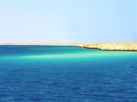 Reef by Port Sudan on the Red Sea | Beach, Red sea, Tourist