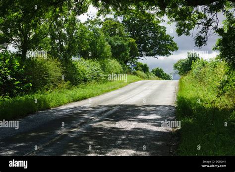 A country lane leading up to the brow of a hill, blind summit, through trees on a sunny day ...