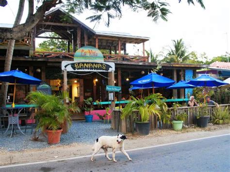 Things to Do on Vieques Island : Puerto Rico : TravelChannel.com | Puerto Rico Vacation Ideas ...