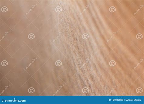 Cow skin as background stock photo. Image of animal - 104010898