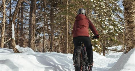 Mont-Saint-Bruno: Park Entry with Fat-bike and Snowshoeing | GetYourGuide