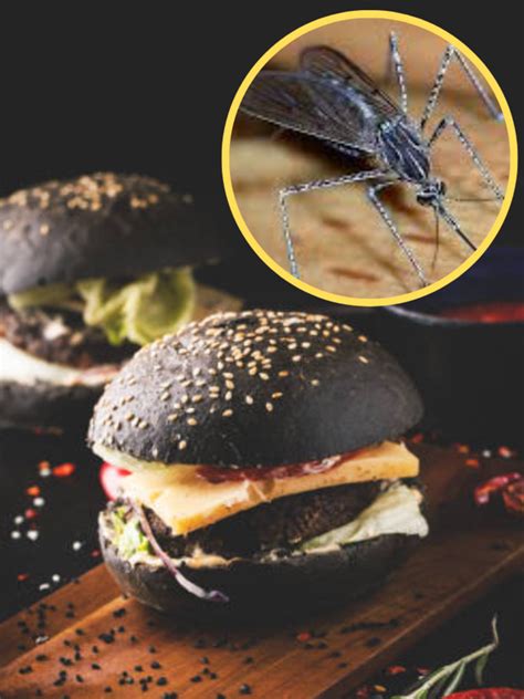 mosquito burger is very famous in this country - प्रोटीन के लिए मच् ...