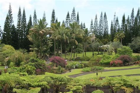 Hawaiian Gardens | Hawaiian gardens, Landscape, Desktop wallpaper