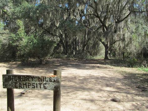 Site Hickory Hill - Wilderness, Cumberland Island National Seashore Camping Permits - Recreation.gov