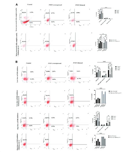 Status of autophagy with the concomitant cell death process during the... | Download Scientific ...