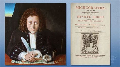 Robert Hooke | Biography, Discoveries, & Facts | Britannica