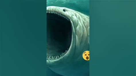 ikan nun/ikan nabi yunus vsmosasaurus #ikannun#ikannabiyunus#mosasaurus - YouTube