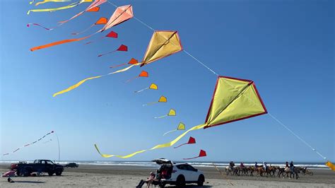 World's biggest kite store is on Washington's coast | king5.com