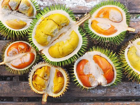 Brunei Durian Varieties at Gerai Pengkalan Batu - Year of the Durian