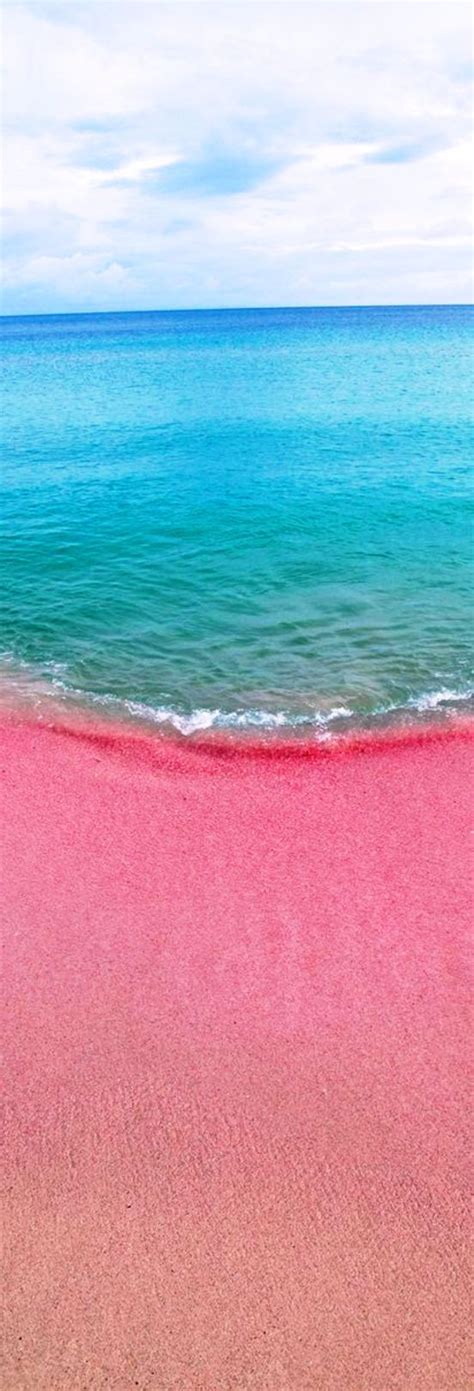 Pink Sands Beach in the Bahamas is one of the most spectacular and ...