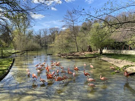 Beautiful day at Nuremberg Zoo : r/germany