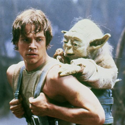 40 Powerful Yoda Quotes — Yoda Quotes for May the 4th