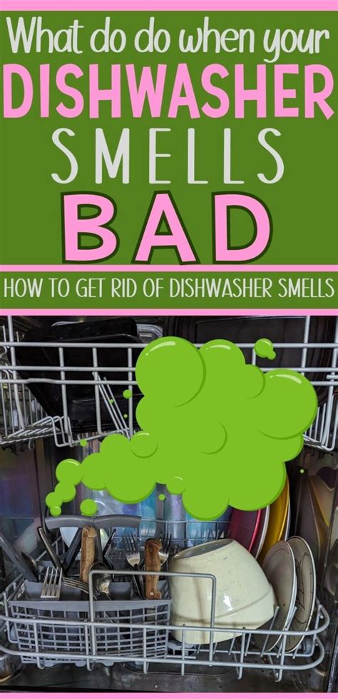 How to Clean a Smelly Dishwasher and Solve the Stinky Situation