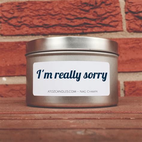 I'm Really Sorry Apology Gift I'm Sorry Gift for by AtoZCandles