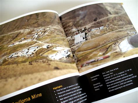 Fortuna Silver Mines 2007 Annual Report on Behance