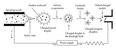 Popular Ionization Techniques in Mass Spectroscopy