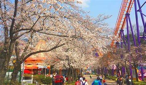 Seoul Land Amusement Park Discount Ticket - Trazy, Korea's #1 Travel Guide