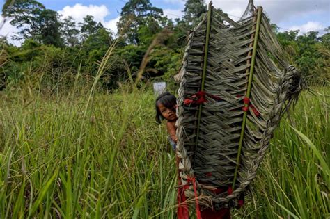 Amazon Tribe Clings to Traditional Way of Life