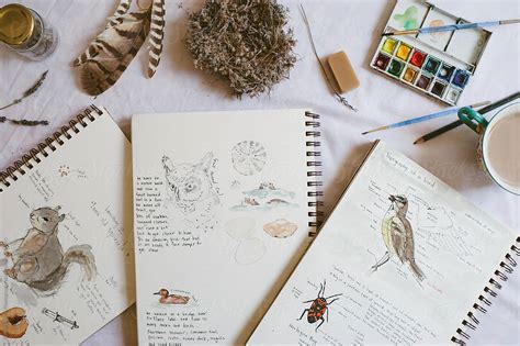 "A Collection Of Nature Journals And Supplies" by Stocksy Contributor ...