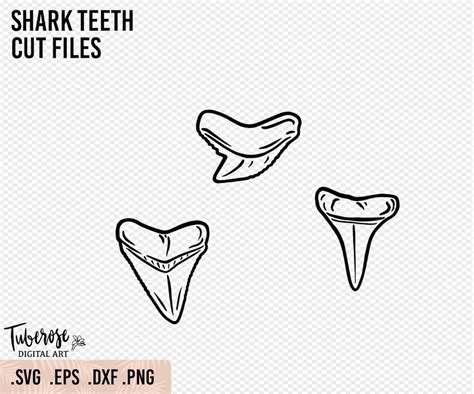 Shark Teeth Clip Art