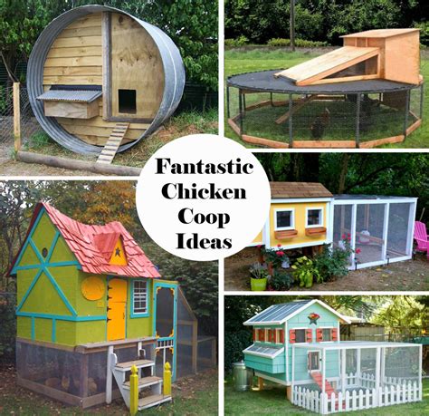 Fantastic Chicken Coop Ideas - The Keeper of the Cheerios