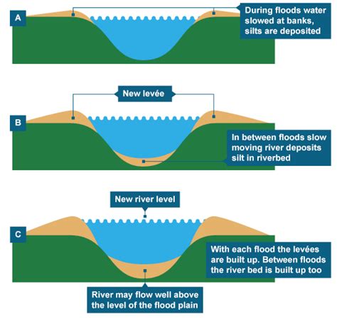 Levee Diagrams - Wiring Diagram Pictures