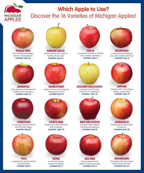 16 Types of Apples from Michigan | Healthy Family Project | Apple ...