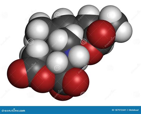 Kainic Acid Molecule. Direct Agonist Of The Glutamic Kainate Receptors. Skeletal Formula. Vector ...