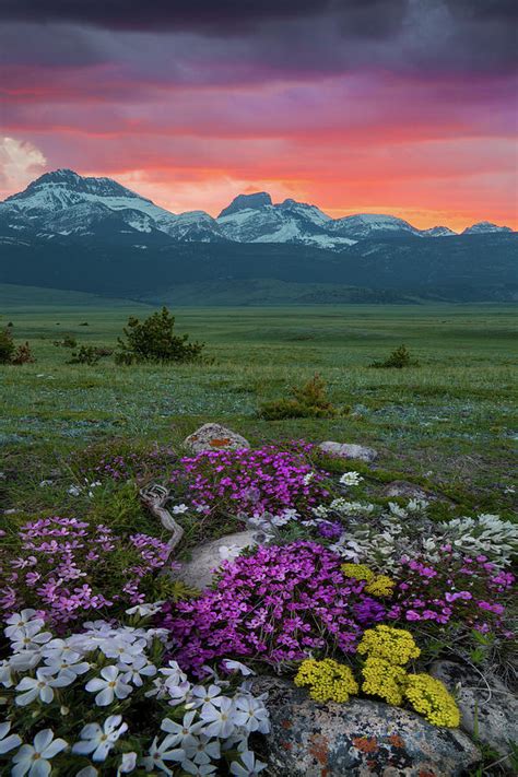 Rocky Mountain Front Magic / Augusta, Montana Photograph by Nicholas Parker