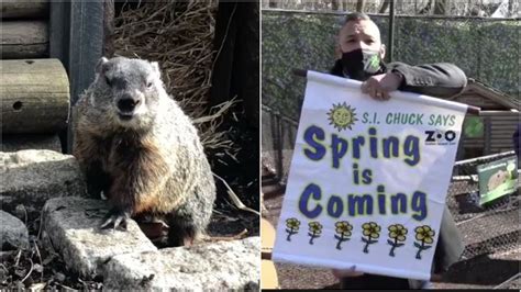 Groundhog Day 2021 controversy: Staten Island Chuck goes virtual, but ...