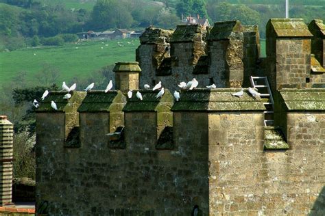 Amberley Castle | Get Tickets, Visitor Info | Castles History