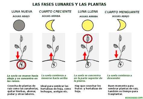 La importancia de la luna