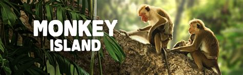 About Monkey Island on Paramount Plus