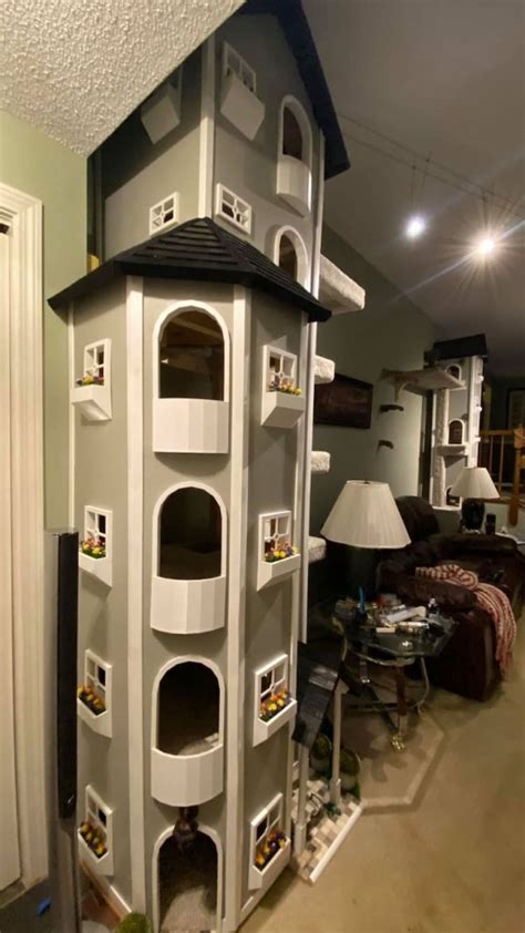 Man Builds Elaborate Tall Cat Tree Spanning Length of His Living Room