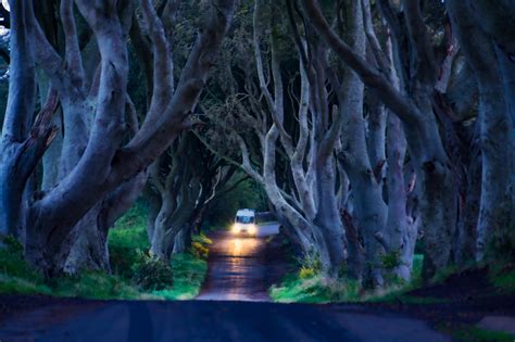 The Dark Hedges: Ireland’s Fearsome Hunched Trees – Unusual Places