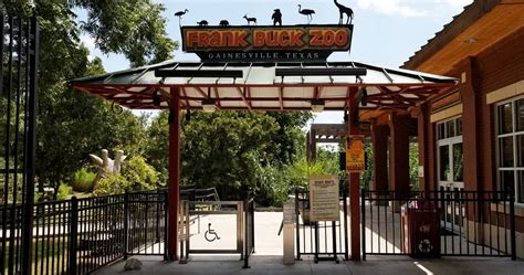 Frank Buck Zoo (Gainesville) - Visitor Information & Reviews