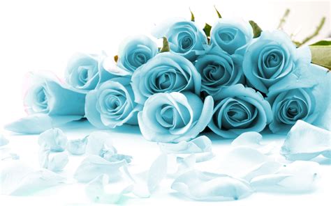 Light Blue Roses Wallpapers - Wallpaper Cave