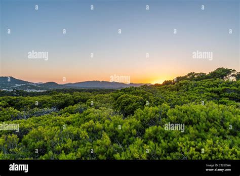 sunset at a wild forest near Christmafry's, a hiking area at cala ratjada on majorca island ...