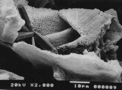 Iron phosphate coating stands alone as a mat. | Download Scientific Diagram