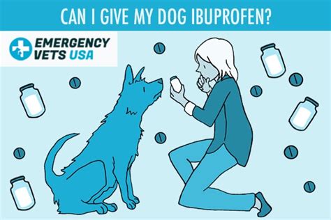 Can You Give Dogs Ibuprofen? Find Out Why This Pill Is Toxic To Dogs