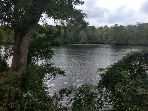 Pocomoke River State Park Expands by 212 Acres